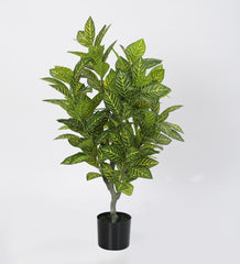 Artificial Yellow Zebra Plants | Tree for Home Decoration | Living Room | Office Big/Medium Size with Pot (120 cm Tall, Yellow)