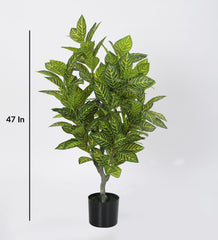 Artificial Yellow Zebra Plants | Tree for Home Decoration | Living Room | Office Big/Medium Size with Pot (120 cm Tall, Yellow)