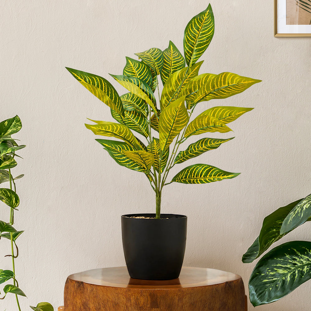 Artificial Croton Plant for Home and Office Decor Gifting Natural Looking Indoor and Outdoor Plant Garden Interior Balcony Decoration (With Pot)