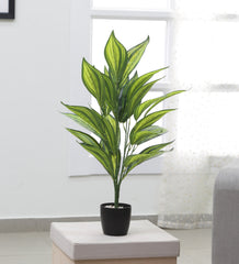 Decorative Artificial Dracaena Tree Tropical Fake Plants for Home Garden Outdoor Indoor Decoration (Without Pot, 70 cm Tall)