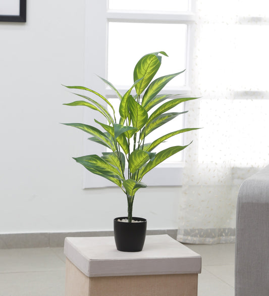 Decorative Artificial Dieffenbachia Tree Tropical Fake Plants for Home Garden Outdoor Indoor Decoration (Without Pot, 70 cm Tall)