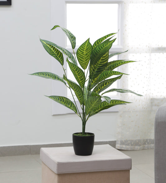 Decorative Artificial Croton Tree Tropical Fake Plants for Home Garden Outdoor Indoor Decoration (Without Pot, 70 cm Tall)