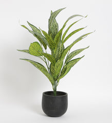 Decorative Artificial Croton Tree Tropical Fake Plants for Home Garden Outdoor Indoor Decoration (Without Pot, 70 cm Tall)
