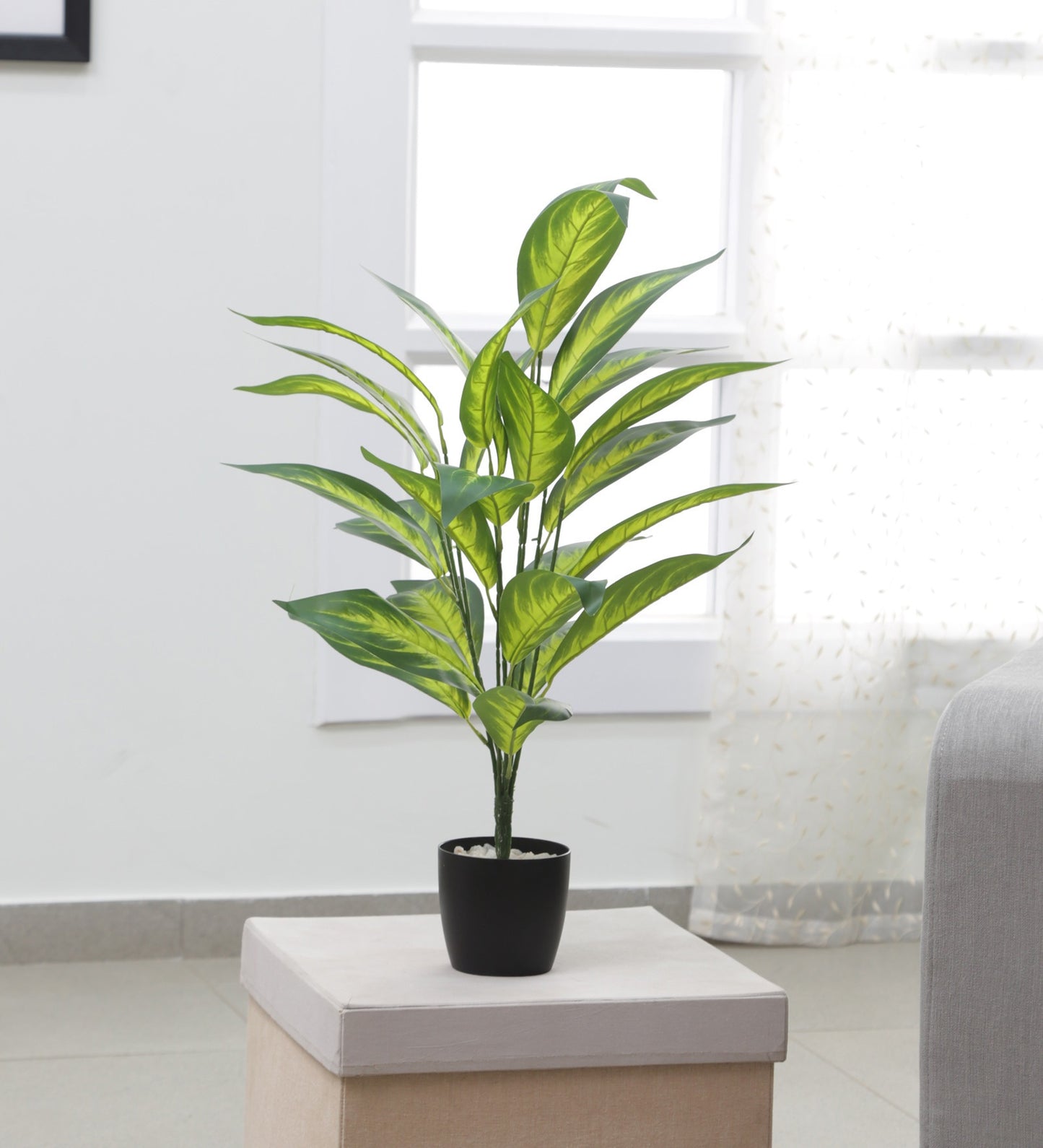 Decorative Artificial Dieffenbachia Tree Tropical Fake Plants for Home Garden Outdoor Indoor Decoration (With Pot, 70 cm Tall)