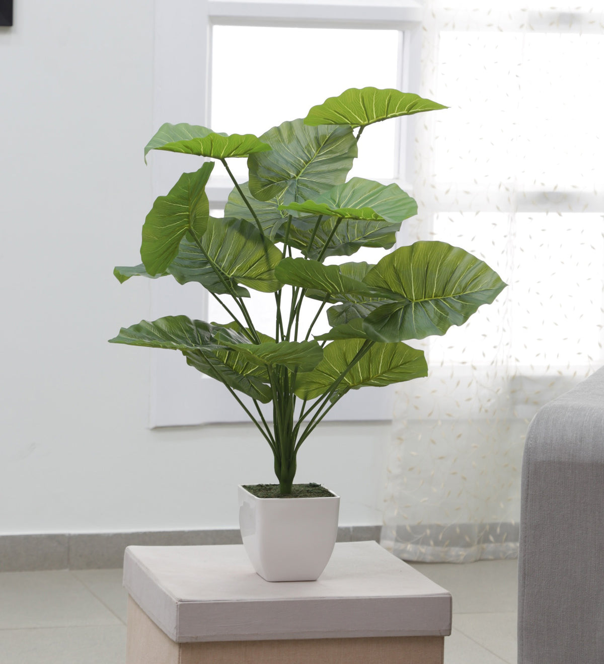 Artificial Rubber Plant for Home, Office Decor Ornamental Plant for Interior Decor/Home Decor/Office Décor (18 Medium Size Leaves Plant, 75 cm Tall)