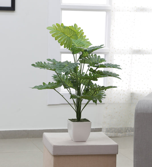 Artificial Philodendron Plant for Home, Office Decor Ornamental Plant for Interior Decor/Home Decor/Office Décor (18 Medium Size Leaves Plant, 75 cm Tall)