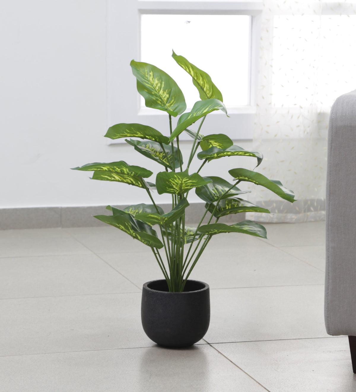 Artificial Dieffenbachia Plant for Home, Office Decor Ornamental Plant for Interior Decor/Home Decor/Office Décor (18 Medium Size Leaves Plant, 75 cm Tall)