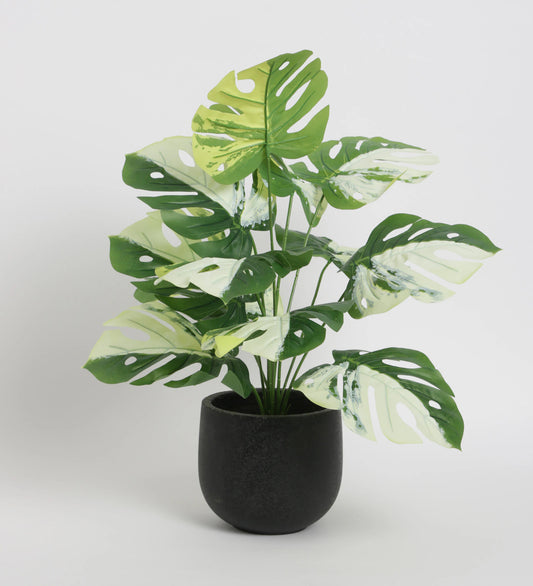 Beautiful Artificial PVC Silk Fan Palm Plant with Big Leaves and Without Pot for Home and Office dcor (12 Leaves, 60 cm Tall, Green)