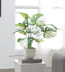 Beautiful Artificial PVC Silk Fan Palm Plant with Big Leaves and Without Pot for Home and Office dcor (12 Leaves, 60 cm Tall, Green)