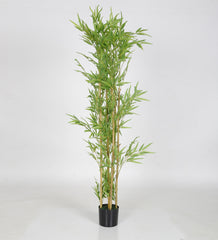 Beautiful Artificial Bamboo Plant in a Black Pot for Interior Decor/Home Decor/Office Decor (160 cm Tall, Green)