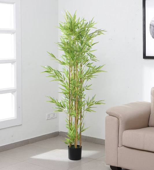 Beautiful Artificial Bamboo Plant in a Black Pot for Interior Decor/Home Decor/Office Decor (160 cm Tall, Green)