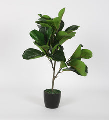 Beautiful Artificial Fiddle Leaf Fig Plant Basic Black Pot for Interior Decor/Home Decor/Office Decor (75 cm Tall, Green)