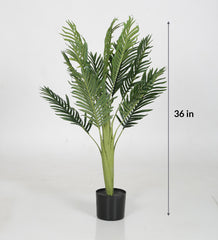 Beautiful Artificial Arick Plam Plant Basic Black Pot for Interior Decor/Home Decor/Office Decor (90 cm Tall, Green)