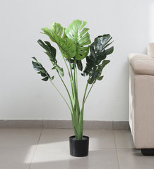 Beautiful Artificial Monstera Plant Basic Black Pot for Interior Decor/Home Decor/Office Decor (90 cm Tall, Green)