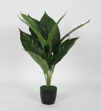 Artificial Spathe Plants | Tree for Home Decoration | Living Room | Office Big/Medium Size with Pot (65 cm Tall, Green)