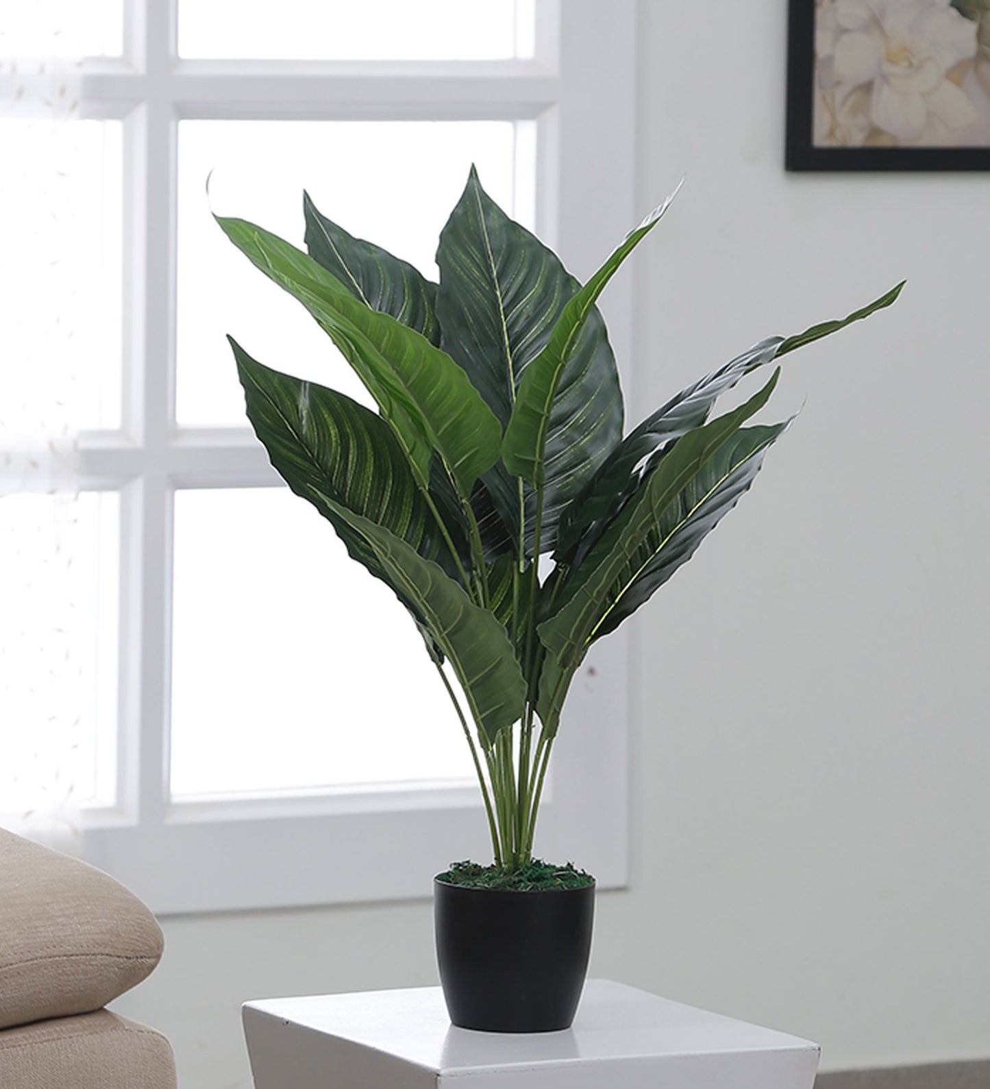 Artificial Spathe Plants | Tree for Home Decoration | Living Room | Office Big/Medium Size with Pot (65 cm Tall, Green)