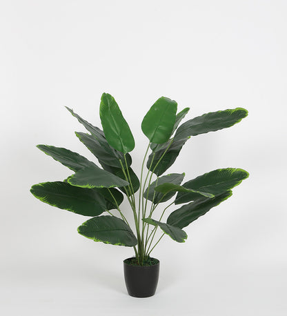 Beautiful Artificial Plastic Banana Plant Basic Black Pot for Interior Decor/Home Decor/Office Decor (75 cm Tall, Green)