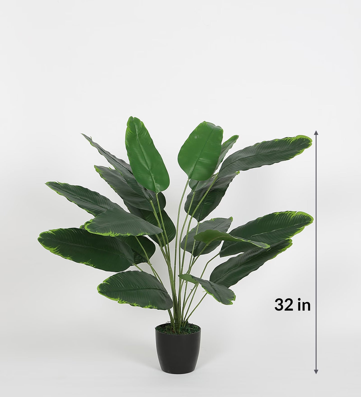 Beautiful Artificial Plastic Banana Plant Basic Black Pot for Interior Decor/Home Decor/Office Decor (75 cm Tall, Green)