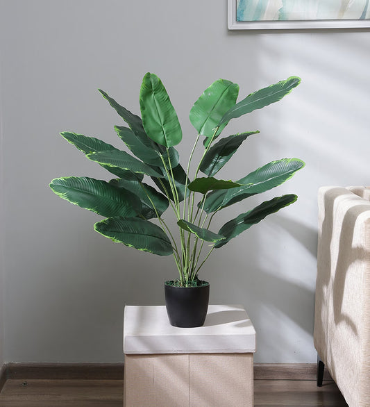 Beautiful Artificial Plastic Banana Plant Basic Black Pot for Interior Decor/Home Decor/Office Decor (75 cm Tall, Green)