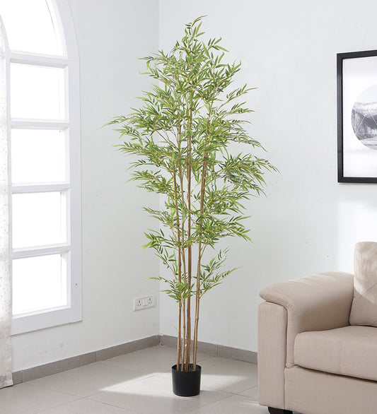 Beautiful Artificial Bamboo Plant in a Black Pot for Interior Decor/Home Decor/Office Decor (240 cm Tall, Green)