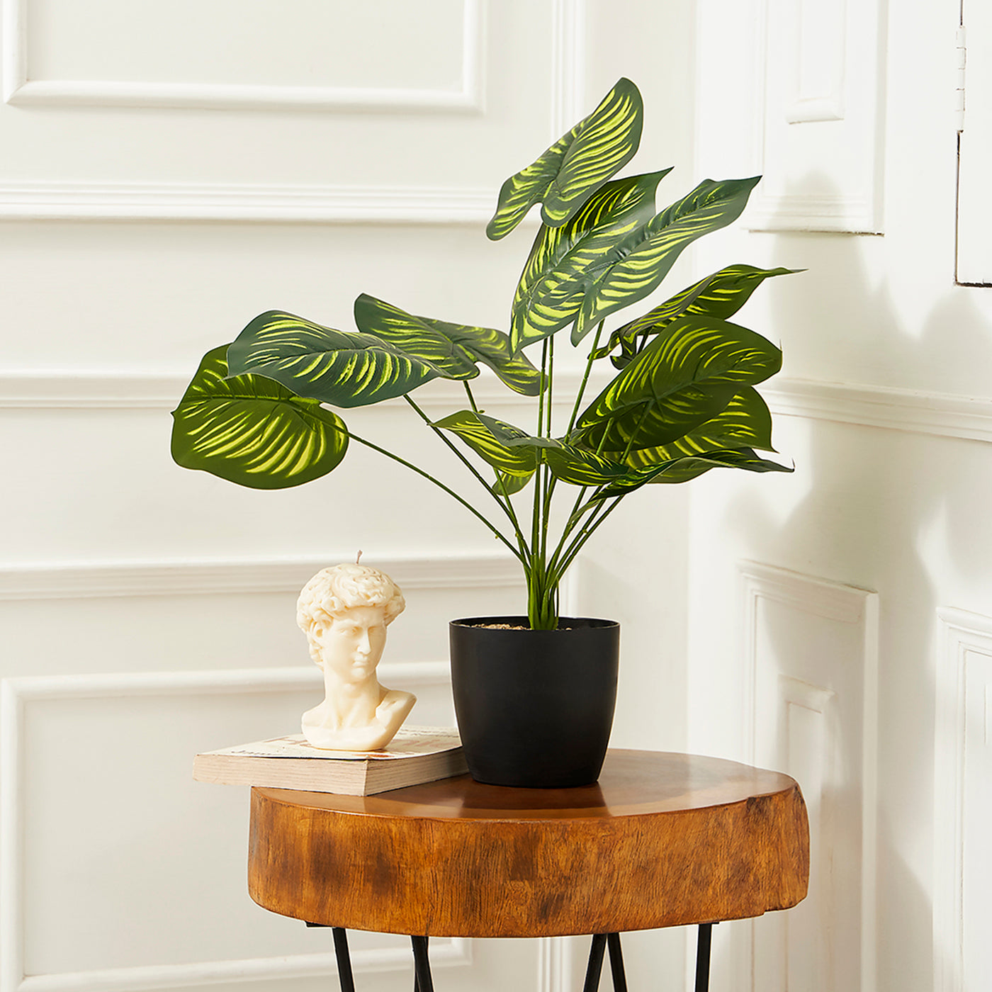 Artificial Calathea Orbifolia Plant for Home and Office Decor Gifting Natural Looking Indoor and Outdoor Ornamental Plant for Interior Balcony Decoration (With Pot)