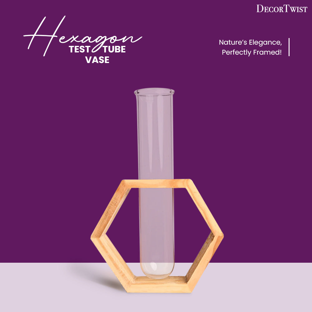 Hexagon- Test Tube Vase