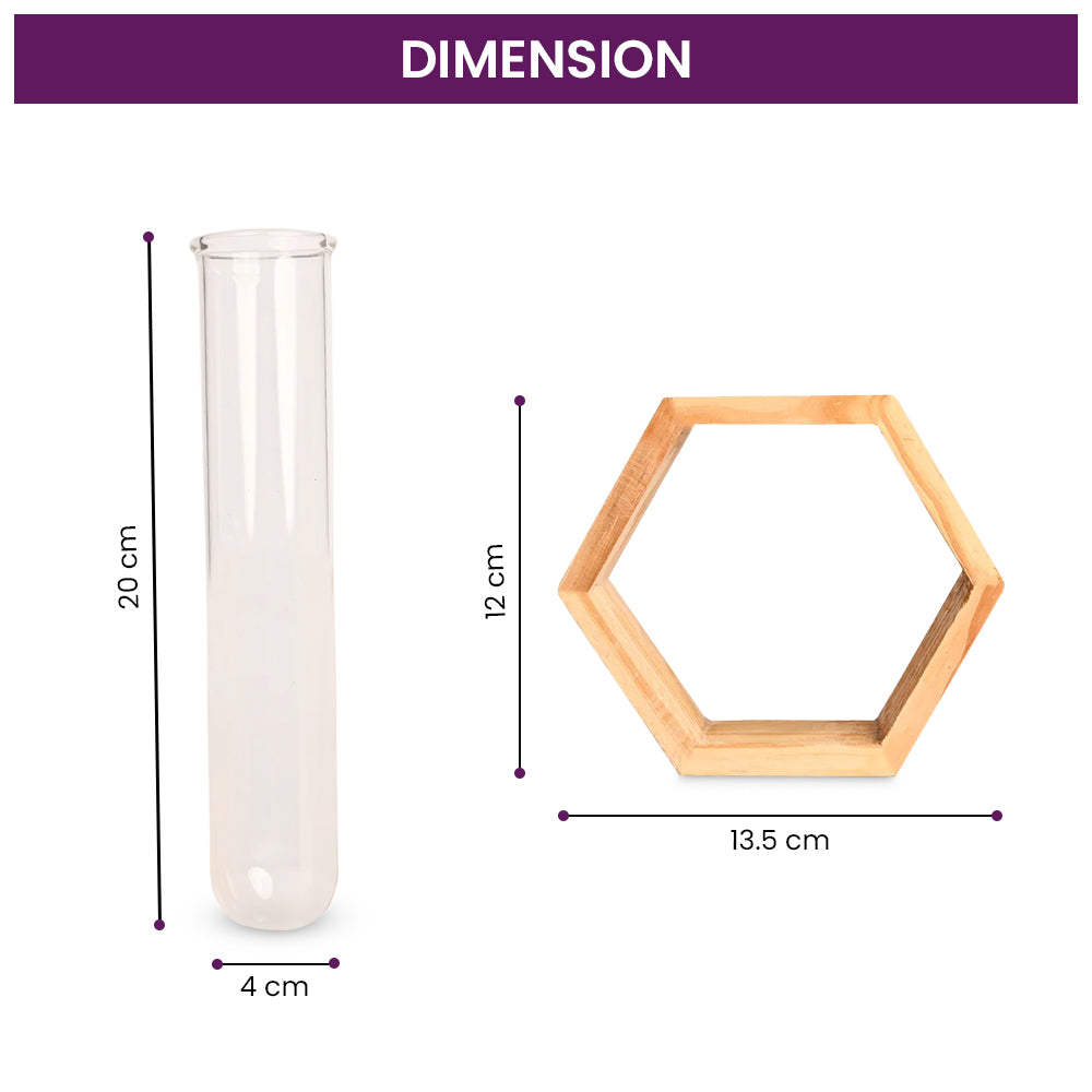 Hexagon- Test Tube Vase