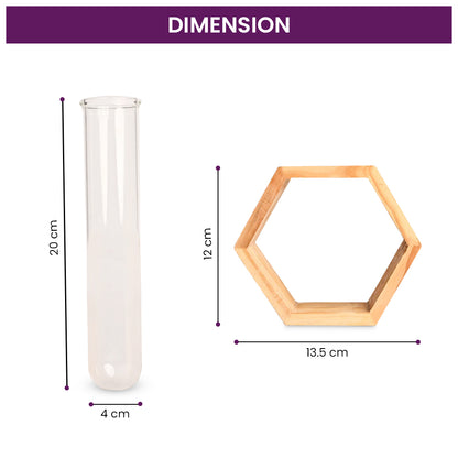 Hexagon- Test Tube Vase