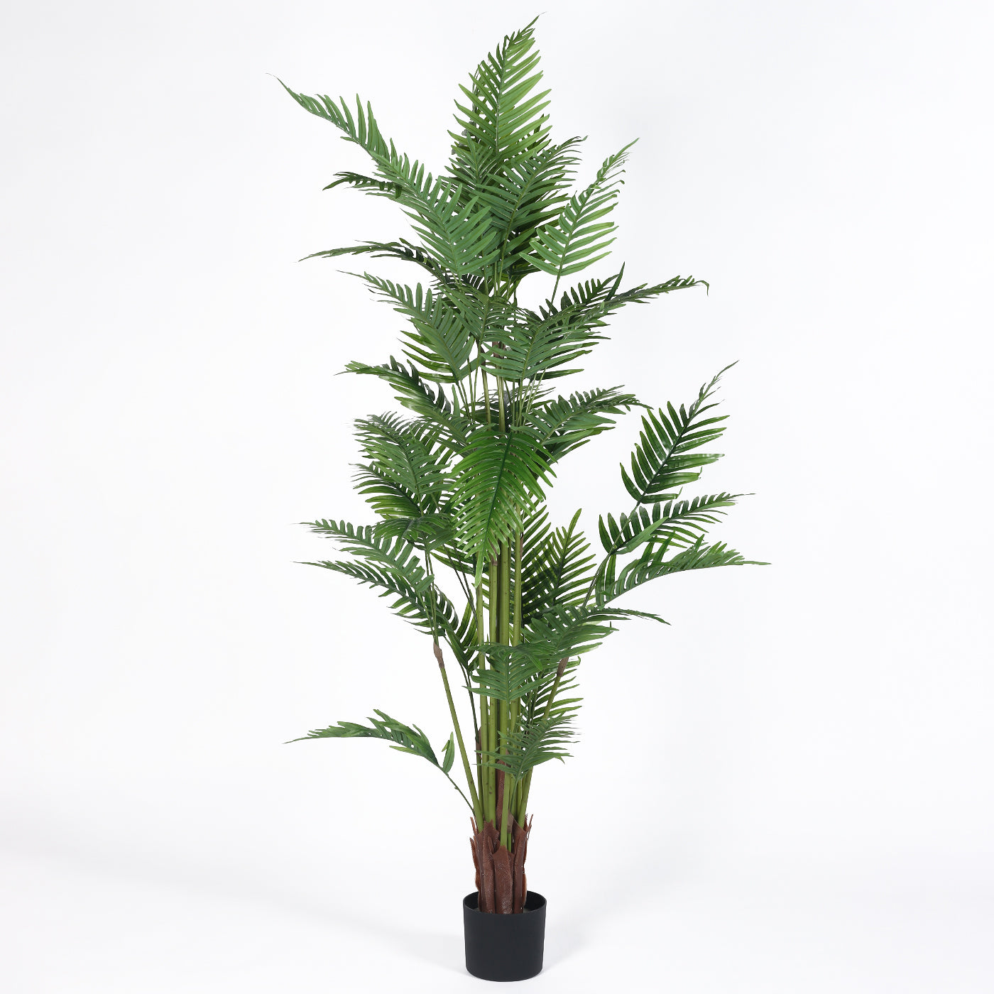 Artificial Areca Palm Plants for Indoor & Outdoor with pot (180 cm Tall, Multicolor)