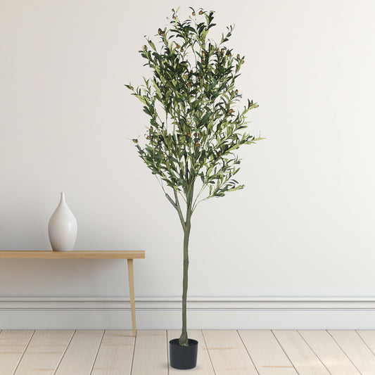 Decoration Artificial Olive Plants for Indoor & Outdoor with pot for Interior Decor/Home Decor/Office Décor (170 cm Tall, Multicolor)