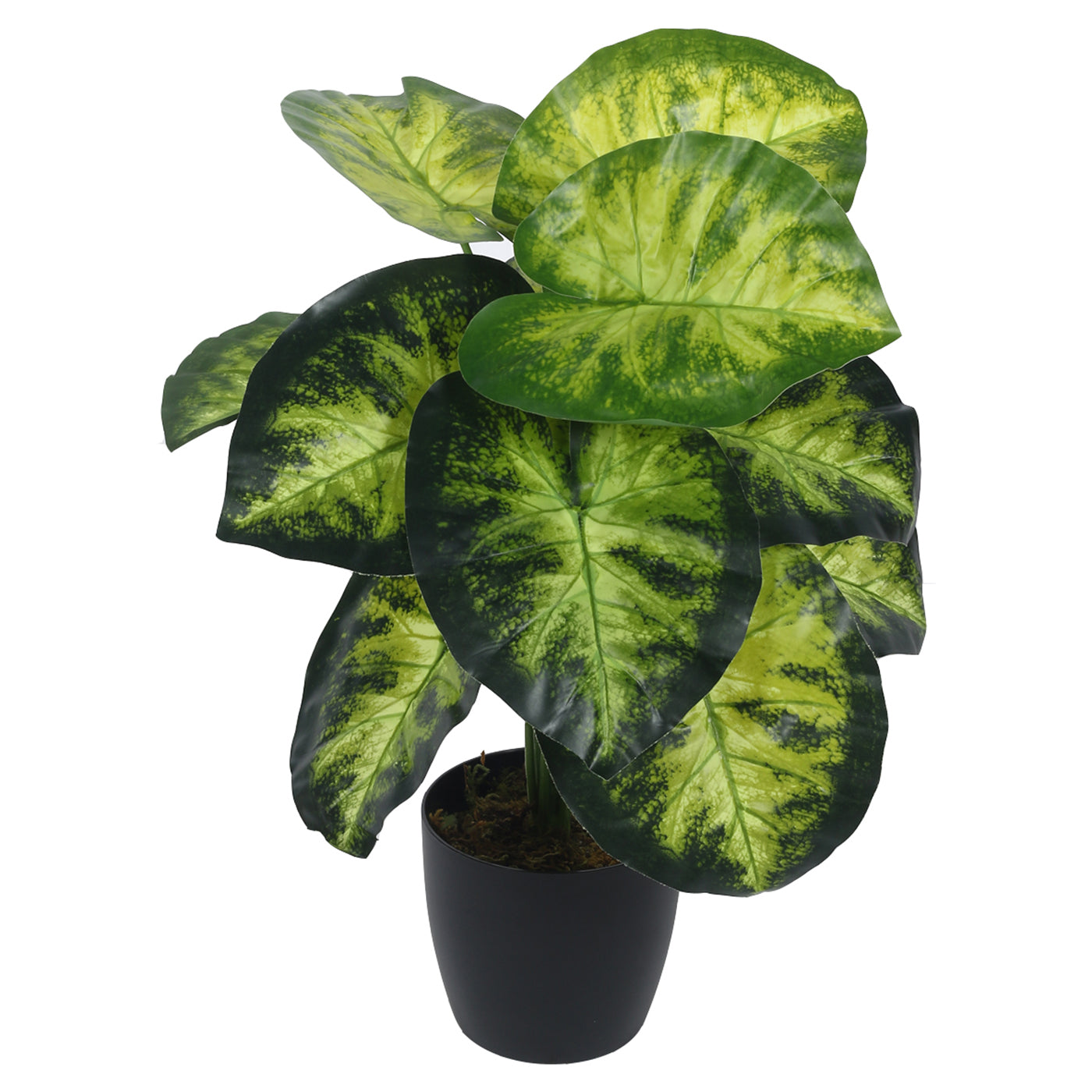 Artificial PVC Big Leaves Plants for Indoor & Outdoor with pot (12 Leaves, 55 cm Tall, Multicolor)