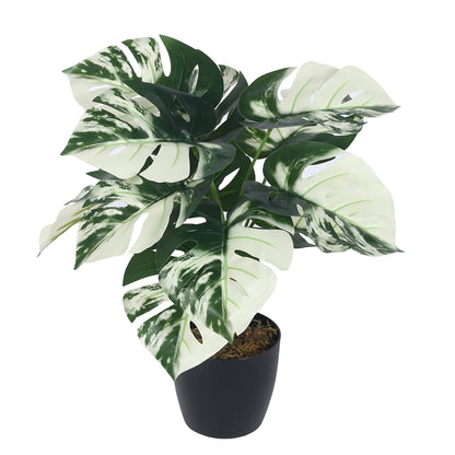 Artificial PVC Monstera Big Leaves Plants for Indoor & Outdoor with pot (12 Leaves, 55 cm Tall, Multicolor)