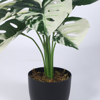 Artificial PVC Monstera Big Leaves Plants for Indoor & Outdoor with pot (12 Leaves, 55 cm Tall, Multicolor)