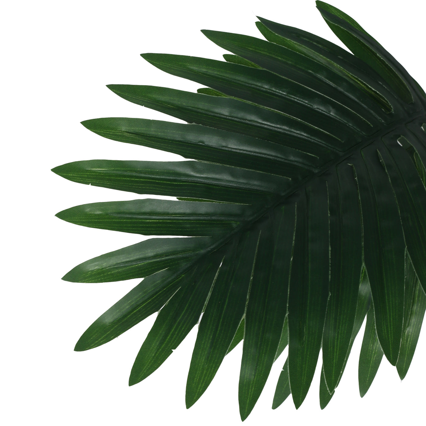 Artificial Areca Palm Plants for Indoor & Outdoor with pot (12 Leaves, 55 cm Tall, Multicolor)