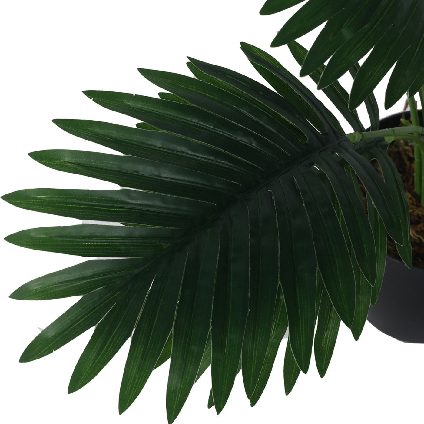 Artificial Areca Palm Plants for Indoor & Outdoor with pot (12 Leaves, 55 cm Tall, Multicolor)