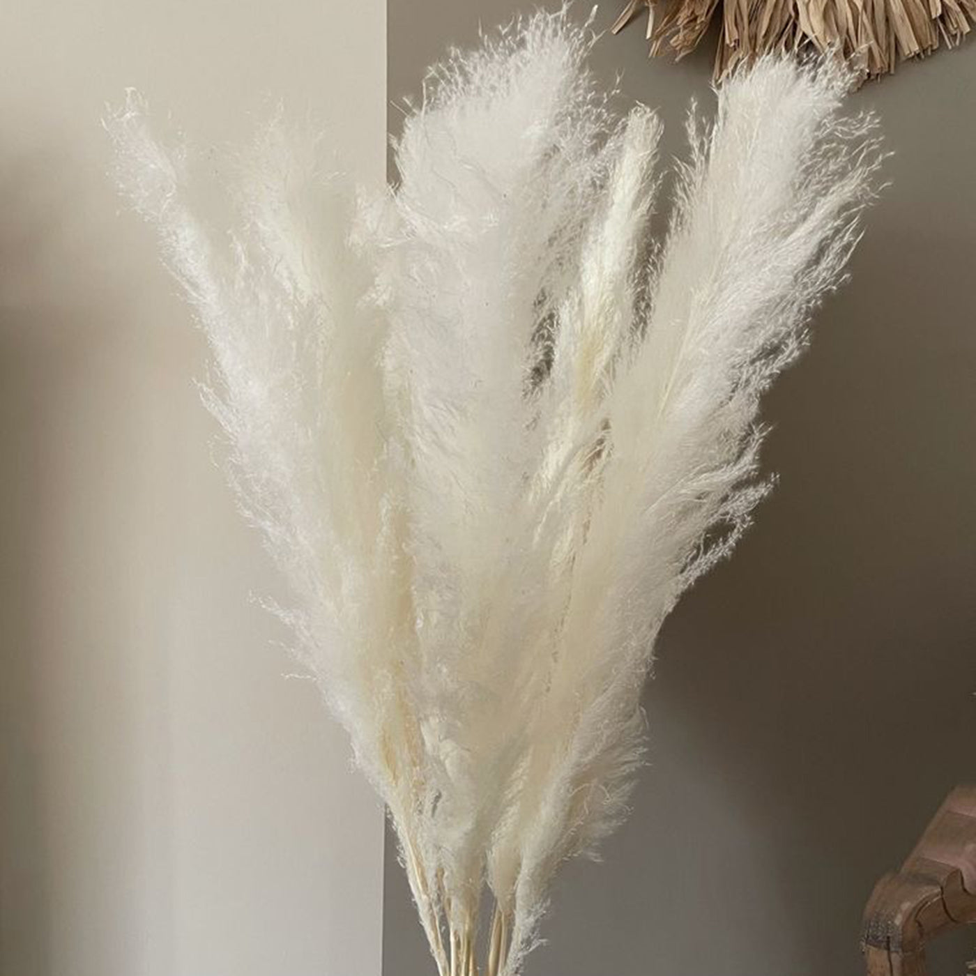 Pampas White-XL-set of 6 stems