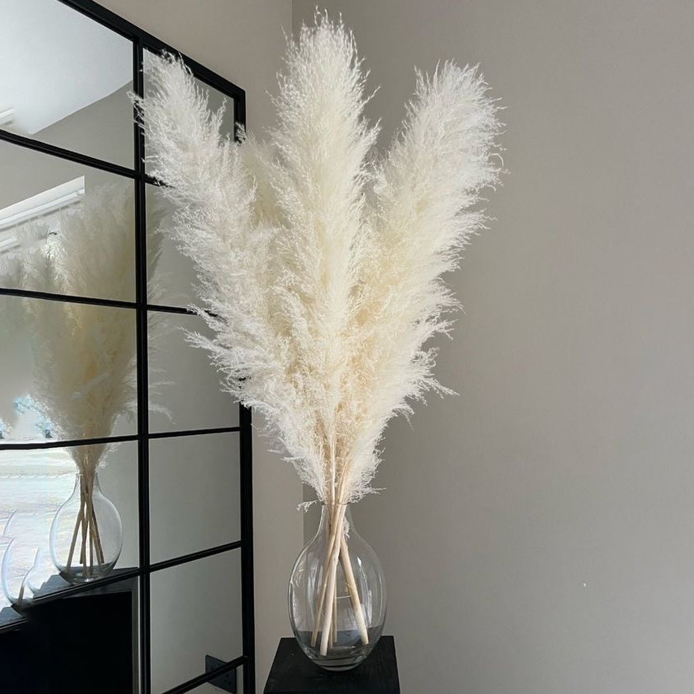 Pampas White-XL-set of 6 stems