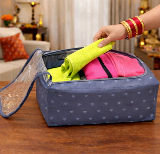 DecorTwist Transparent Shoe Storage Box for Closet & Under Bed | Foldable Dustproof Plastic Organizer for Shoes, Clothes & Blankets (Style 3, Pack of 1)