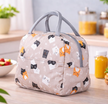 DecorTwist Insulated Lunch Bag for Office & School | Reusable Fabric Tiffin Carry Bag | Lightweight & Leak Resistant