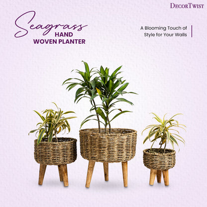 Natural Seagrass Hand Woven Planter (Set of 3)