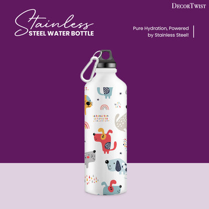 Stainless Steel Water Bottle for Men & Women & Kids