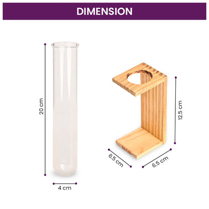 Test Tube Vase