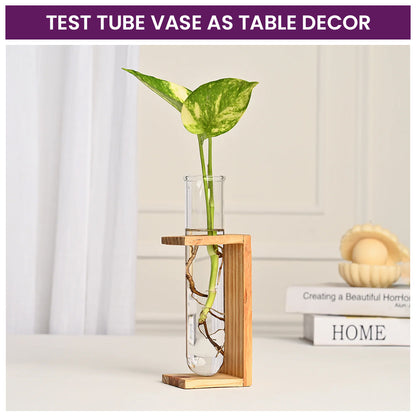 Test Tube Vase