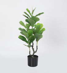 Beautiful Artificial Fiddle Leaf Fig Plant Basic Black Pot for Interior Decor/Home Decor/Office Decor (90 cm Tall, Green)