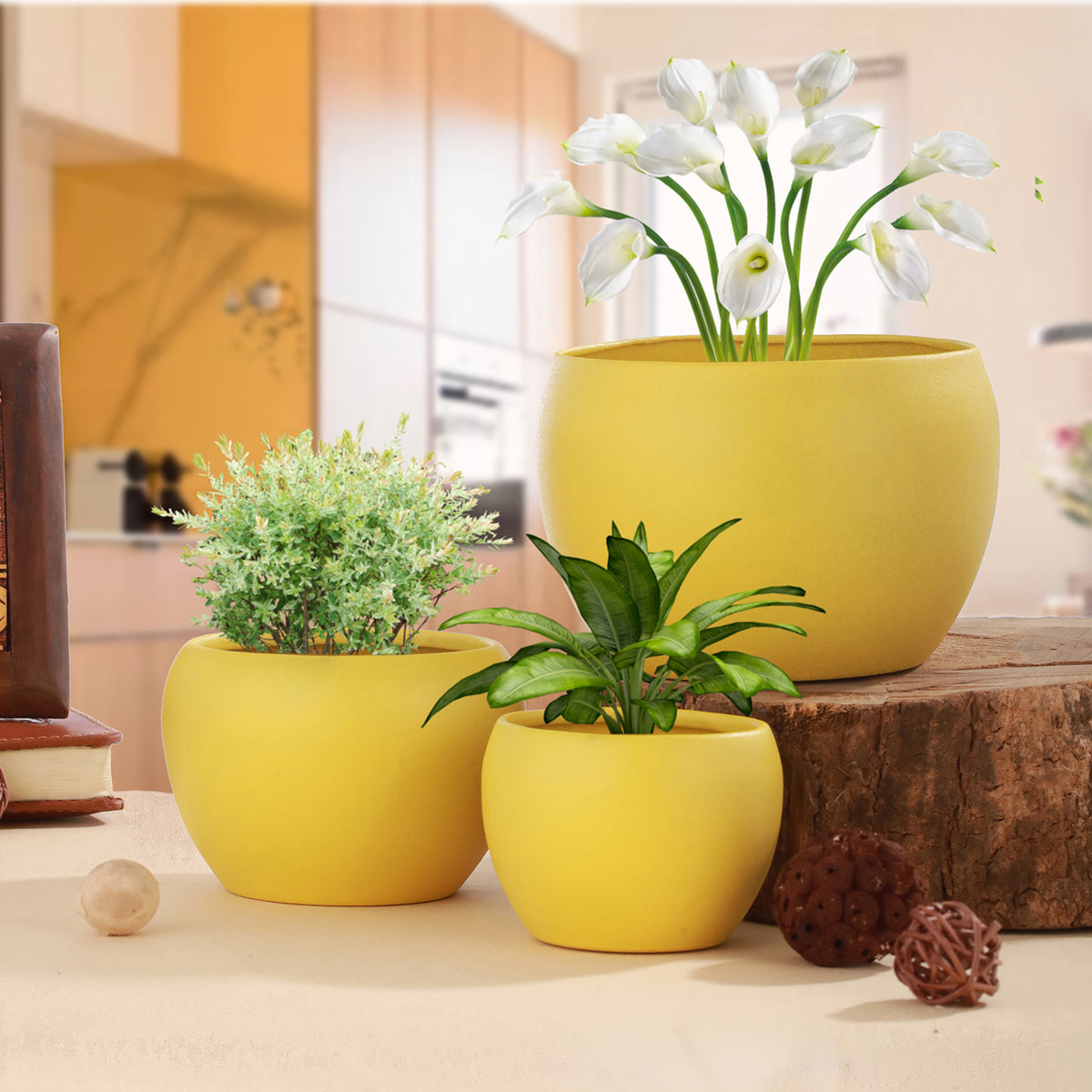 Elegant Yellow Matte Finished TableTop Planters(Set of 3)