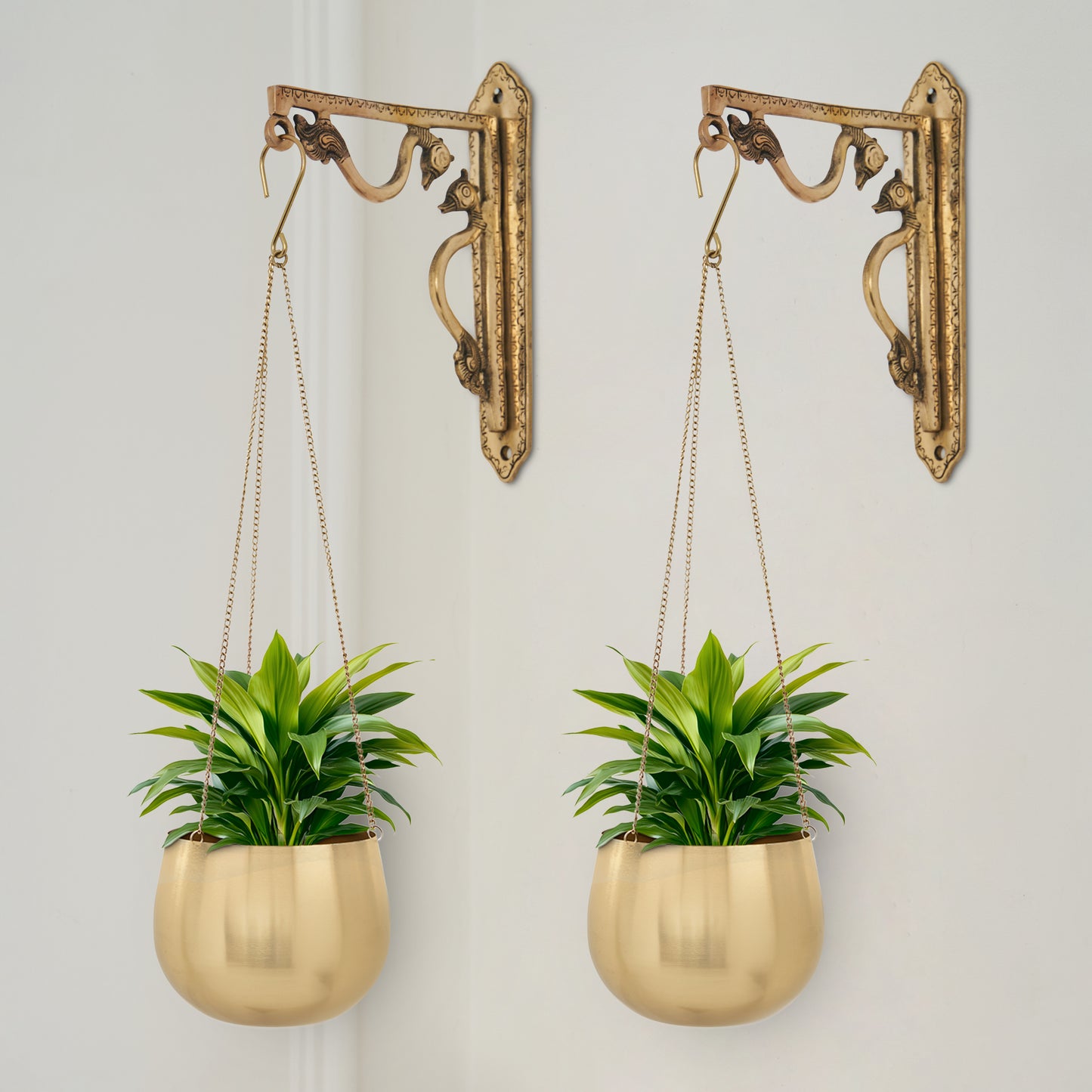 Valencia Metal Hanging Planter Gold -Small