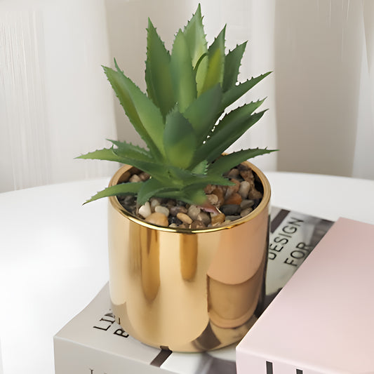 Succulent Plant with Pot for Indoor and Outdoor | Plants Flowerpot Succulent Pots | Planter for Office, Balcony and Home Decoration Items ( 9.5 x 9.5 x 16cm)