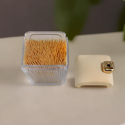 Plastic Toothpick Dispenser with 500 Toothpicks for Kitchen & Restaurant