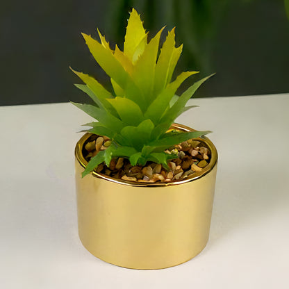 Succulent Plant with Pot for Indoor and Outdoor | Plants Flowerpot Succulent Pots | Planter for Office, Balcony and Home Decoration Items ( 9.5 x 9.5 x 16cm)