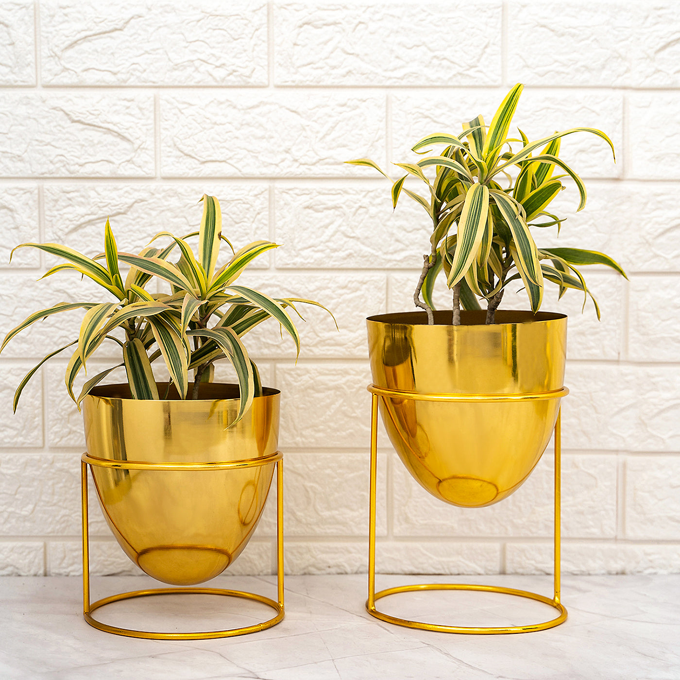 Classy Tabletop Planter With Stand Set of 2